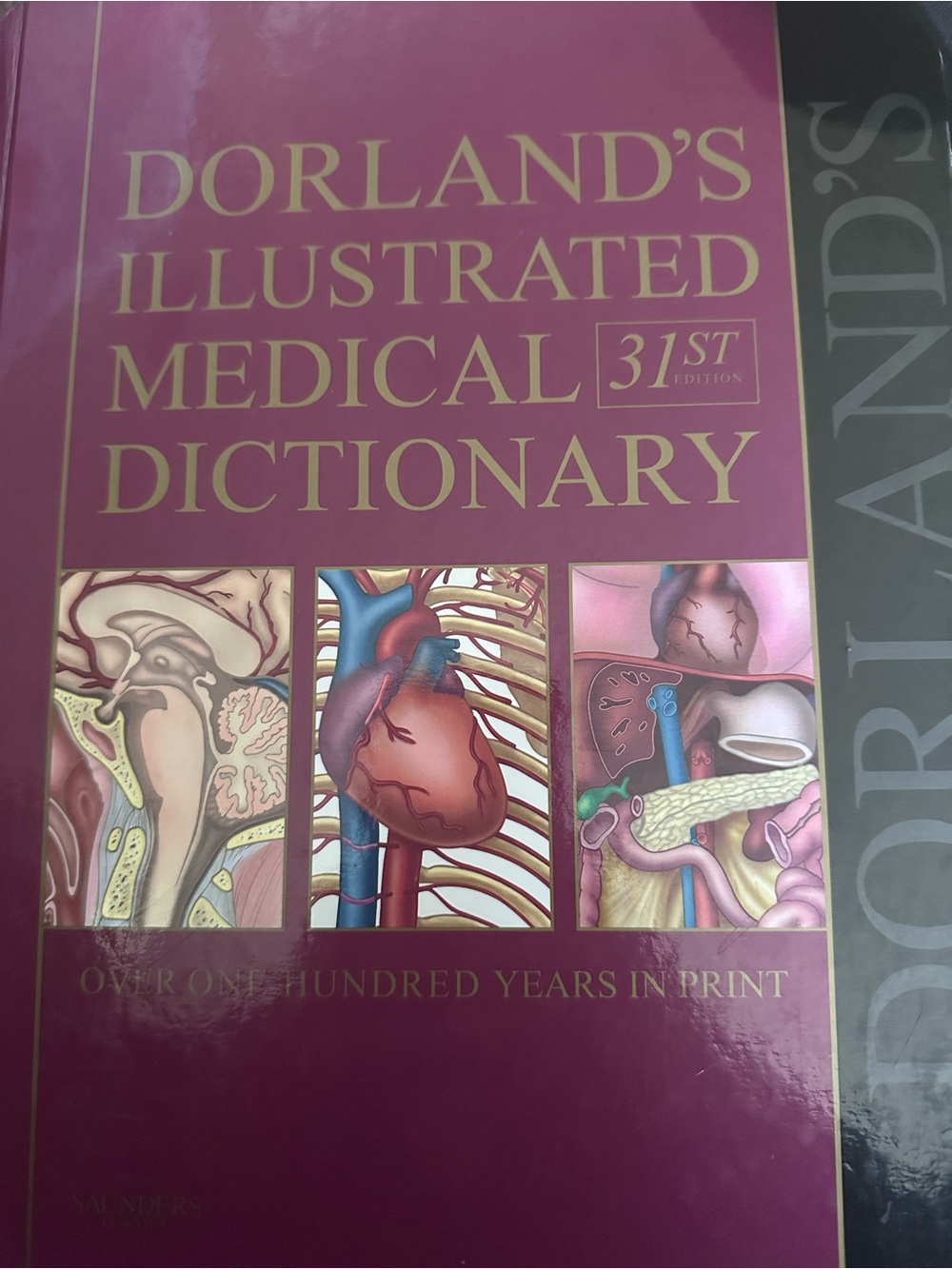 Dorland’s Illustrated Medical 31st Edition